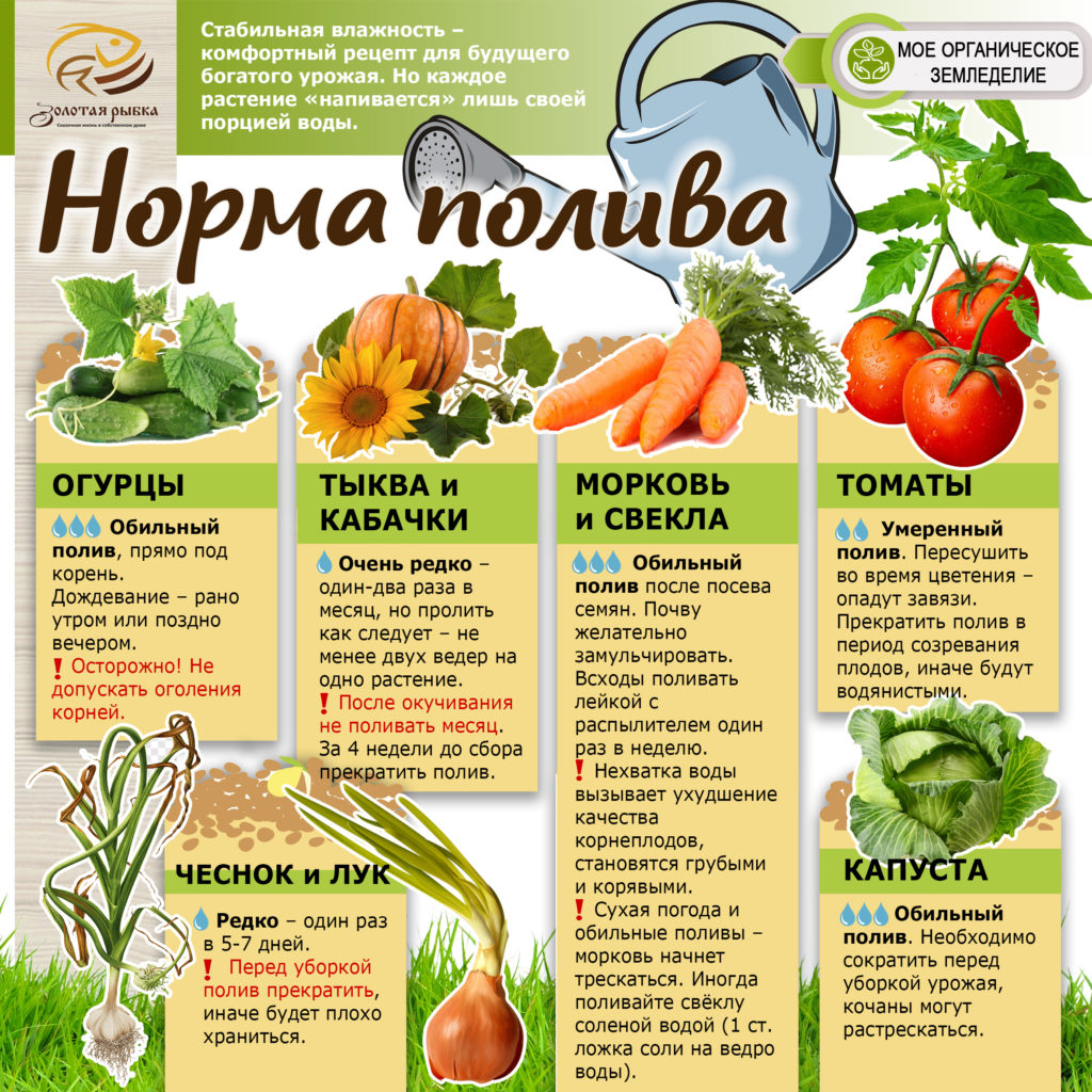 норма полива грядок