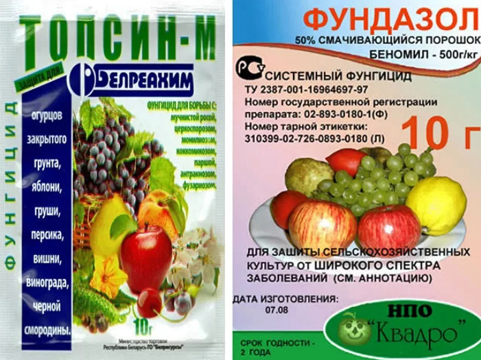 Фундазол срок ожидания после обработки. Фундазол фунгицид. Фундазол 10 гр. (Фундазол Беномил. Фундазол фунгицид 1кг.